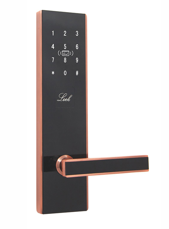 GLJ-8930LoRa無線聯(lián)網密碼鎖